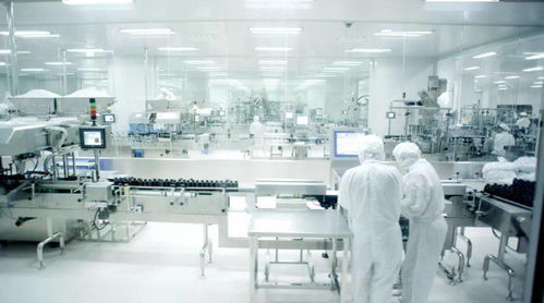 重磅推出 珠海 網紅打卡地 板障山隧道 野貍島 日月貝 大劇院 湯臣倍健 橫琴芒洲濕地公園純玩一天